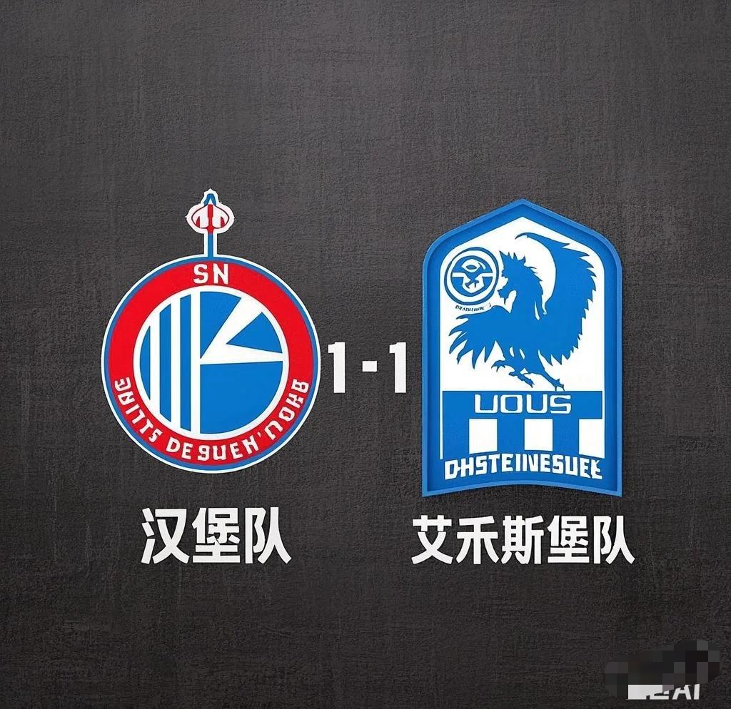 汉堡队主场险胜，重要三分保级希望的简单介绍